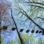 Yes We Can Youth Clinics