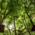 Yes We Can Youth Clinics