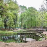 Yes We Can Youth Clinics