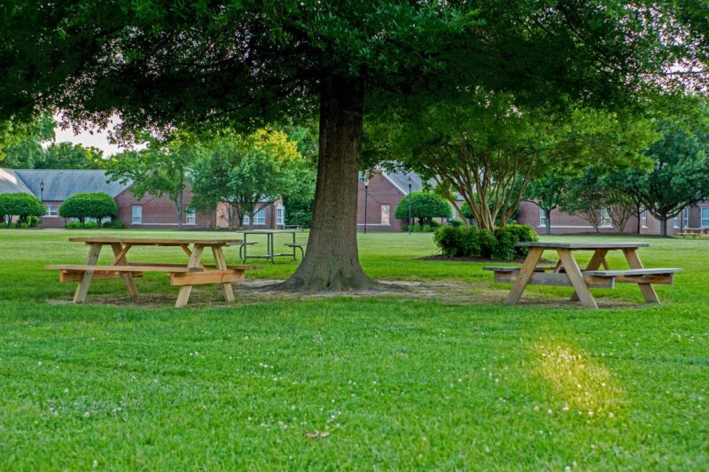 Tree-shaded campus lawn at The Barry Robinson Center in Norfolk, Virginia