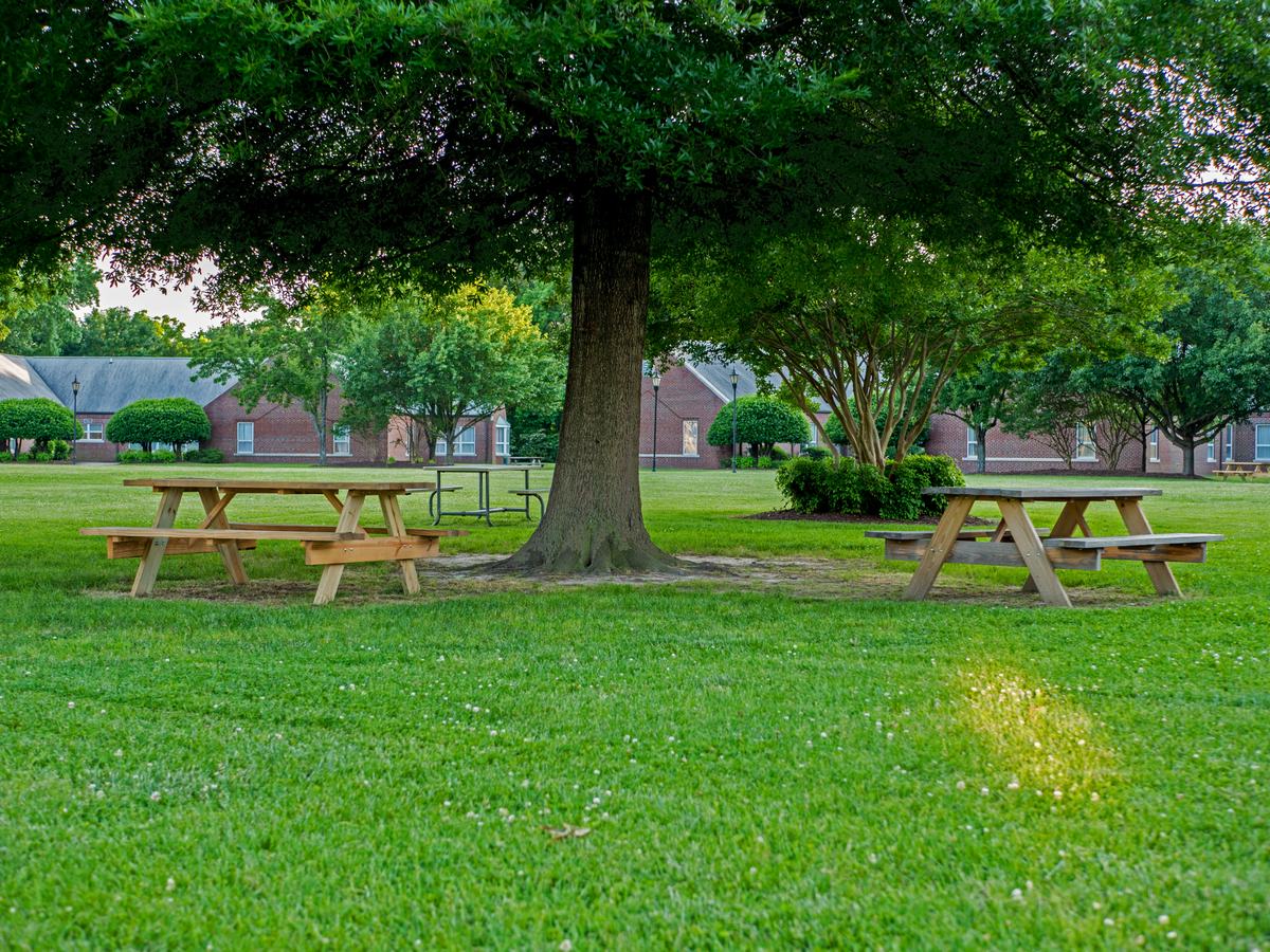 Tree-shaded campus lawn at The Barry Robinson Center in Norfolk, Virginia