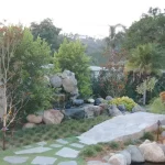 Casa Palmera