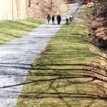 English Mountain Recovery