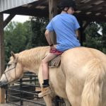 Eagle Overlook Recovery
