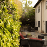 Clearview Treatment Center