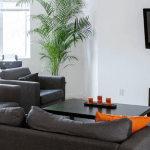 Muse Treatment Los Angeles 