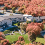 Rising Ridge Recovery