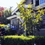 The Center • A Place of HOPE