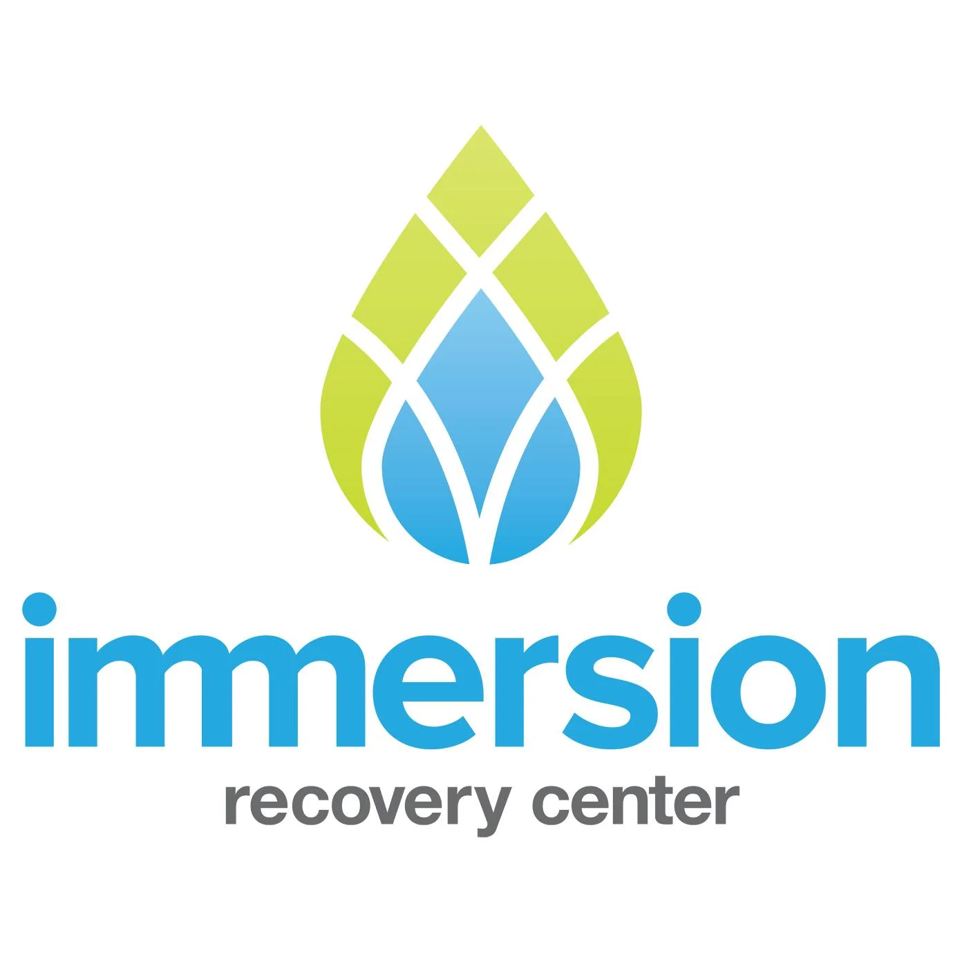 Immersion Recovery Center