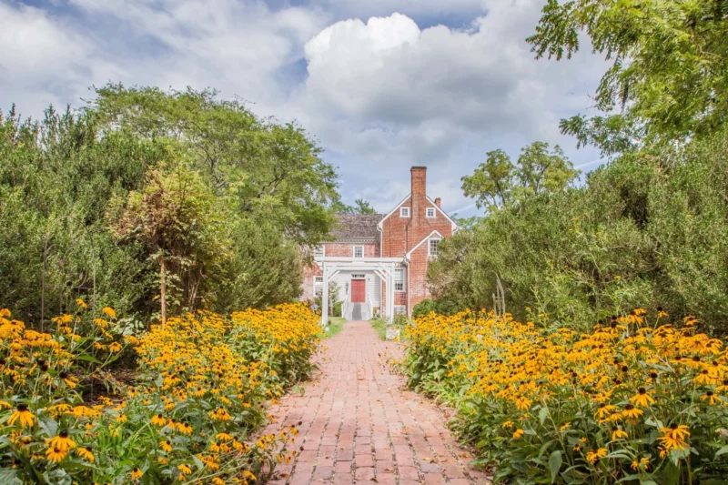 Garden at Williamsville Wellness Center