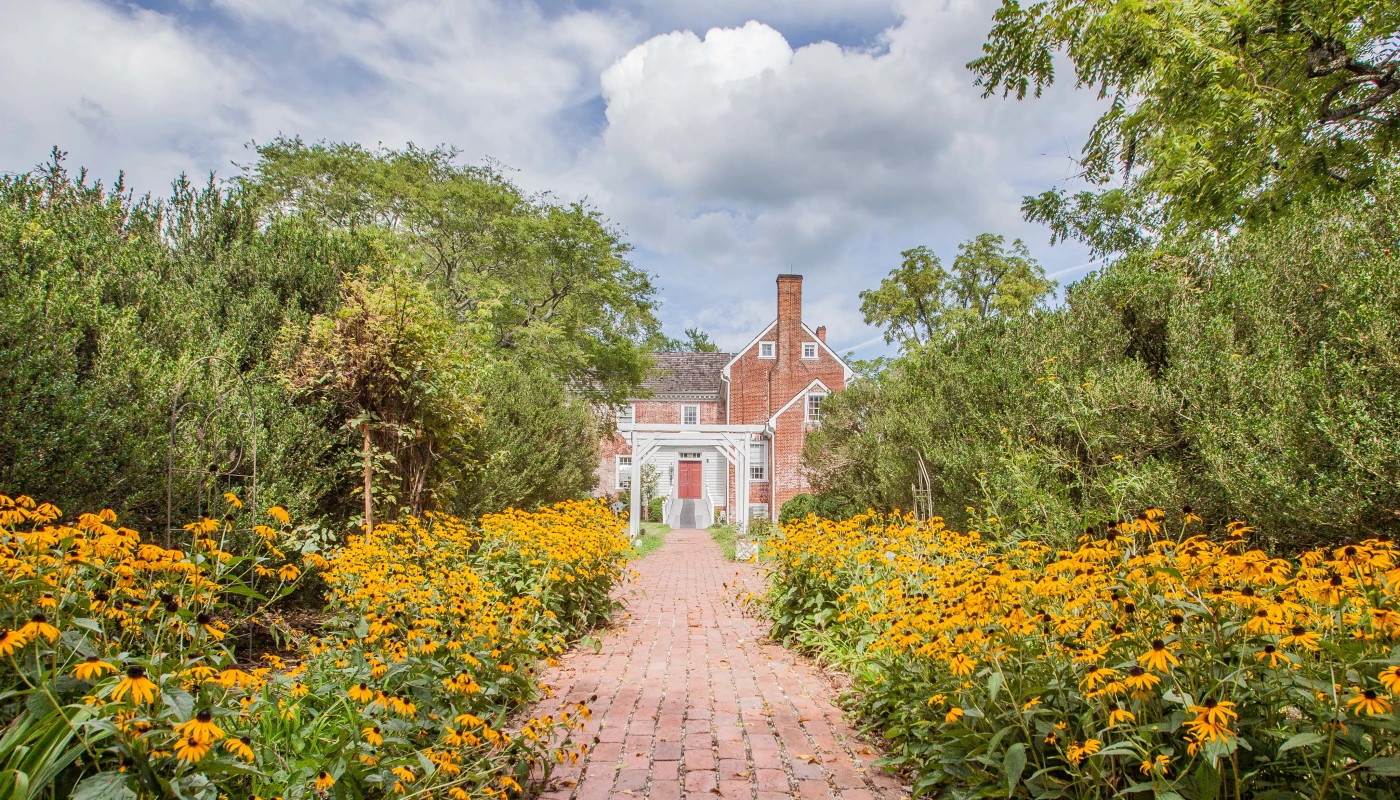 Garden at Williamsville Wellness Center