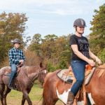 Enlightened Solutions