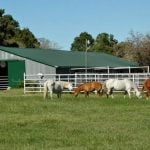 The Last Resort Recovery