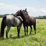 Transformation Treatment Center