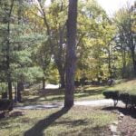 The Woods At Parkside