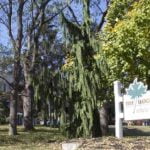 The Woods At Parkside