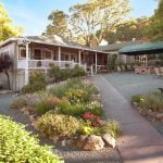 Mountain Vista Farms
