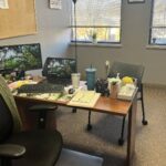 New Beginnings At Waverly