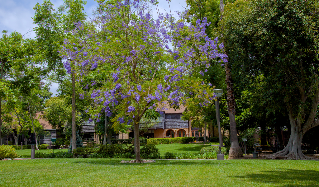 Las Encinas Hospital campus gardens and buildings in Pasadena, California