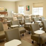 Silver Maple Recovery