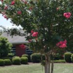 Raleigh Oaks Behavioral Health