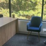 New View Wellness
