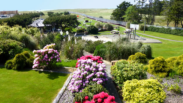 Landscaped outdoor grounds at Free by the Sea in Ocean Park, Washington